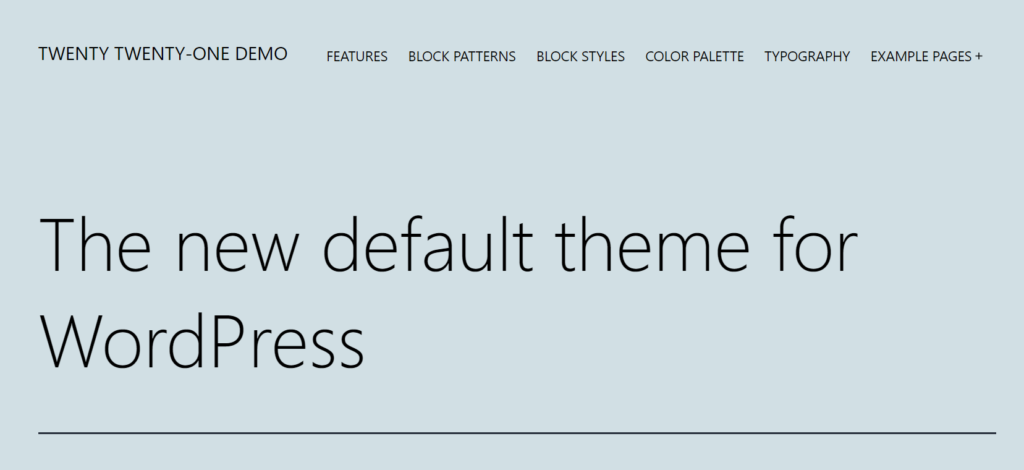 WordPress Default Theme Twenty Twenty One